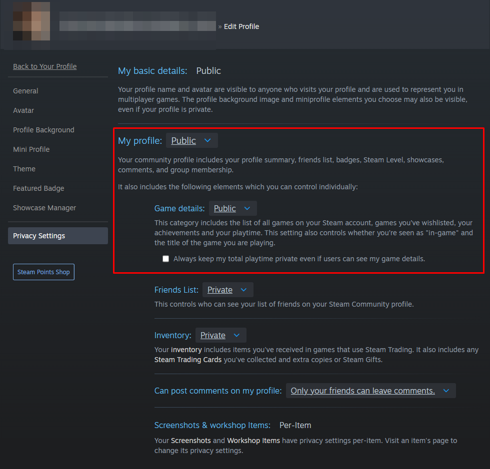 Steam privacy settings screen: "My profile" and "Game details" set to Public