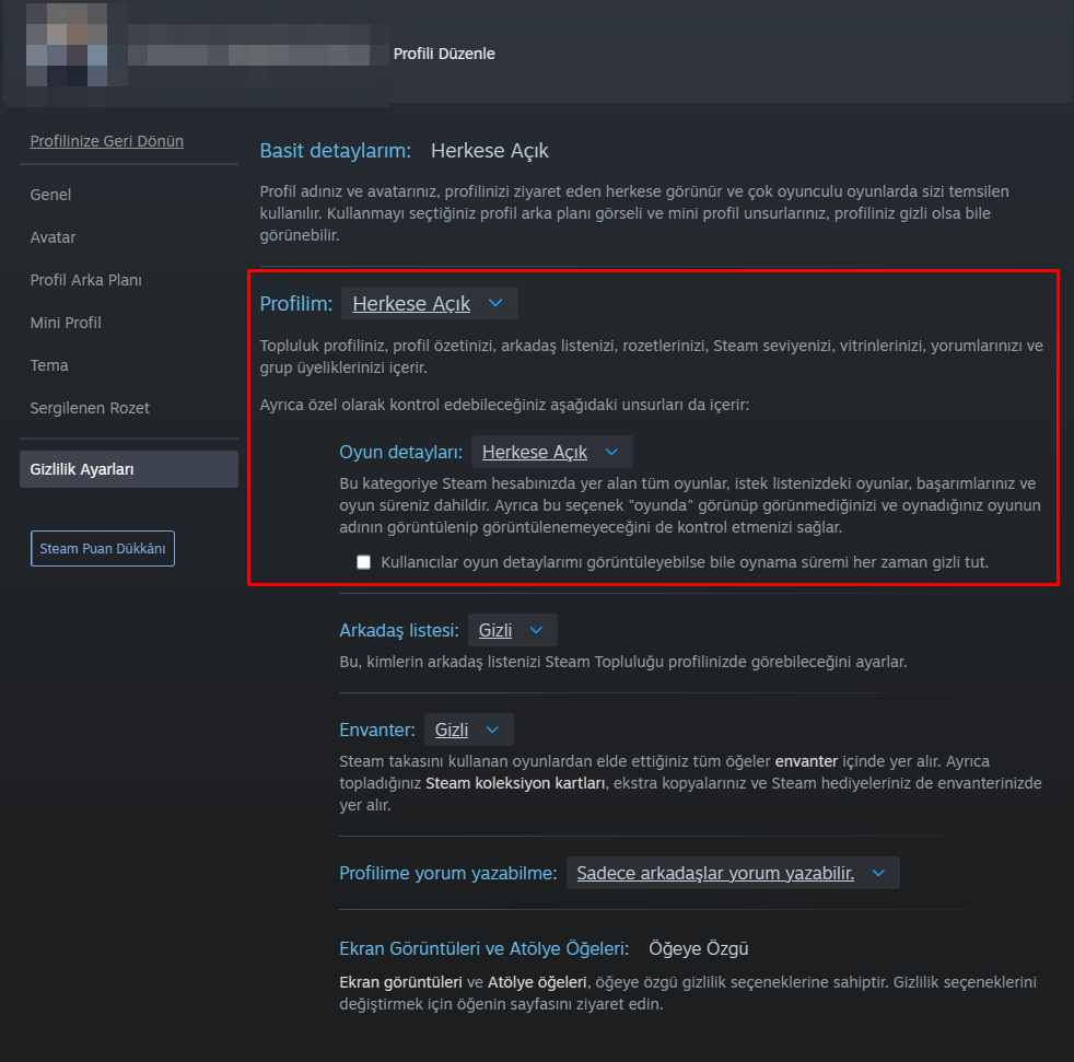 Steam gizlilik ayarları ekranı: "Profilim" ve "Oyun ayrıntıları" Herkese Açık